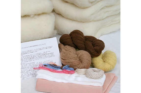 特別セット - ＜公式ウォルドルフ人形＞スウェーデンひつじの詩舎