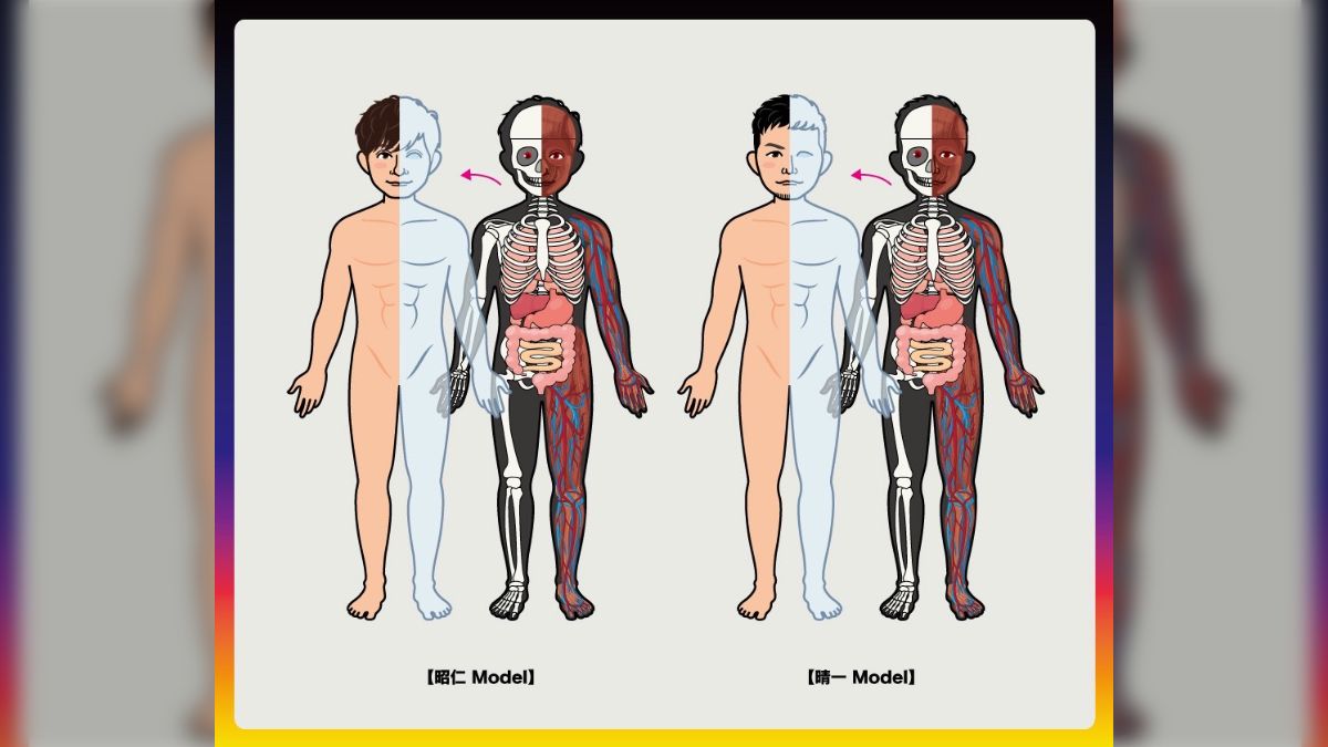 まさかの『メンバーの人体模型」が登場、ポルノグラフィティの新グッズ