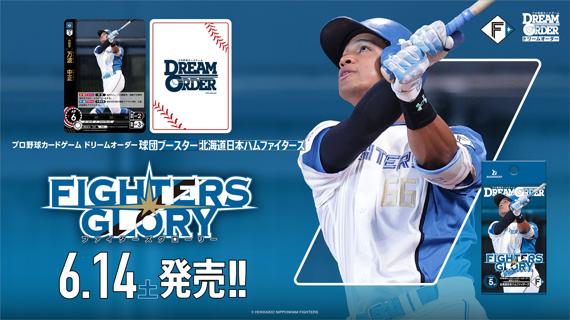 プロ野球カードゲーム ドリームオーダーより、球団ブースター 北海道
