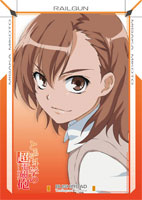 第12弾 ブシロードトレーディングカードセレクション Vol.12とある科学