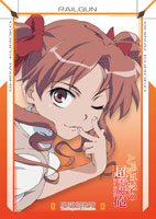 第12弾 ブシロードトレーディングカードセレクション Vol.12とある科学