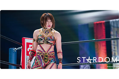 第131弾 ブシロード ラバーマットコレクションV2 Vol.625～630