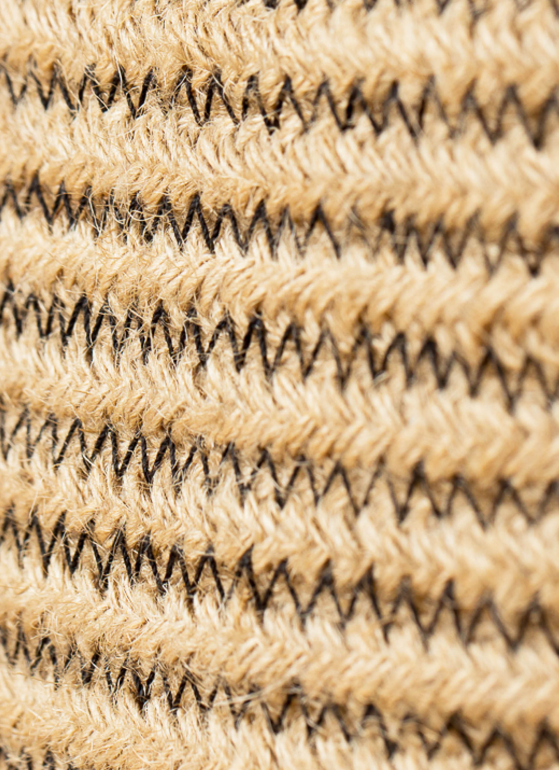 観葉植物 オリーブの木 8号 ハーディーズマンモス リブバスケット