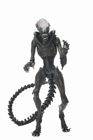 NECA エイリアン：ロムルス スコーチド ゼノモーフ アルティメット 7