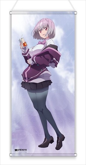 SSSS.GRIDMAN 描き下ろしほぼ等身大タペストリー 新条アカネ｜ホビーの