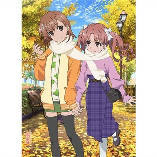 とある科学の超電磁砲T B2タペストリー 御坂美琴＆白井黒子｜ホビーの