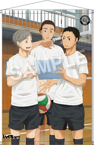 再販】ハイキュー！！ 烏野高校排球部活動録 タペストリー 4 菅原孝支