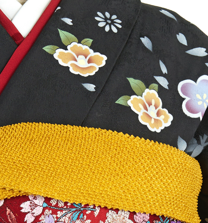 振袖（専用襦袢付）No.EA-2057-トール-LLサイズのレンタル｜きもの365