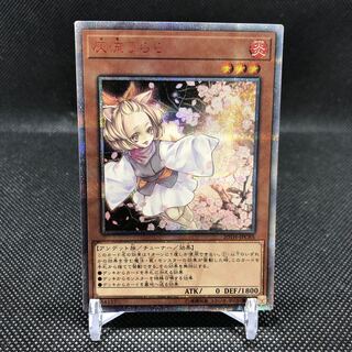 灰流うらら 20thSE 白かけあり 1枚の通販 土日祝休@magi公式