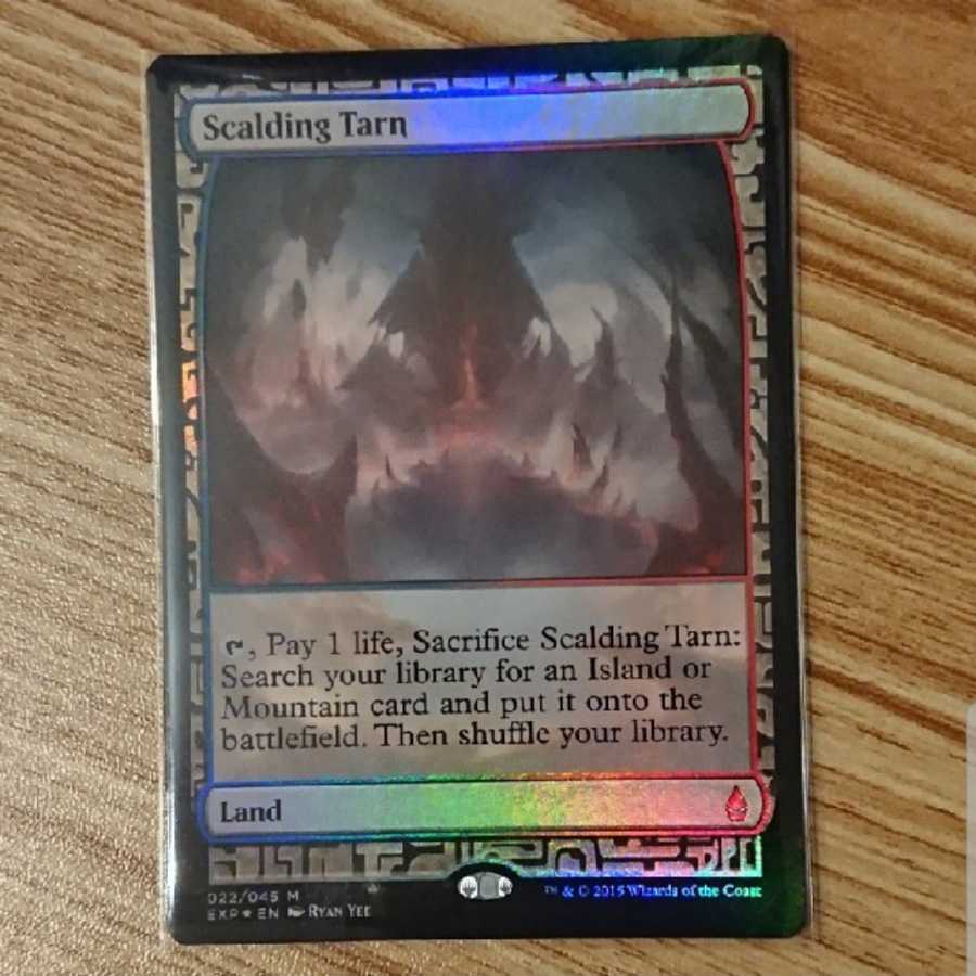 ScaldingTarn DRAGONSCALE 沸騰する小湖 ドラゴンスケイル MTG 沸騰