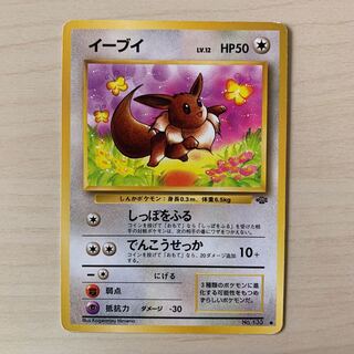 旧裏 イーブイ」の激安通販 | magi