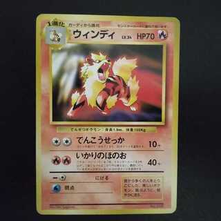 ウィンディ 旧裏」の激安通販 | magi