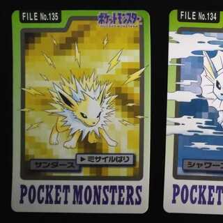 サンダース スター」の激安通販 | magi