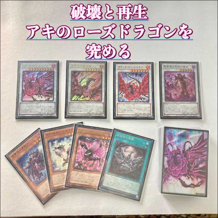 本格構築【ローズドラゴン】デッキ＆二重スリーブ 《 夜薔薇の黒騎士