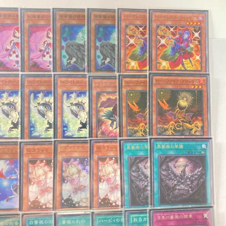 本格構築【ローズドラゴン】デッキ＆二重スリーブ 《 夜薔薇の黒騎士