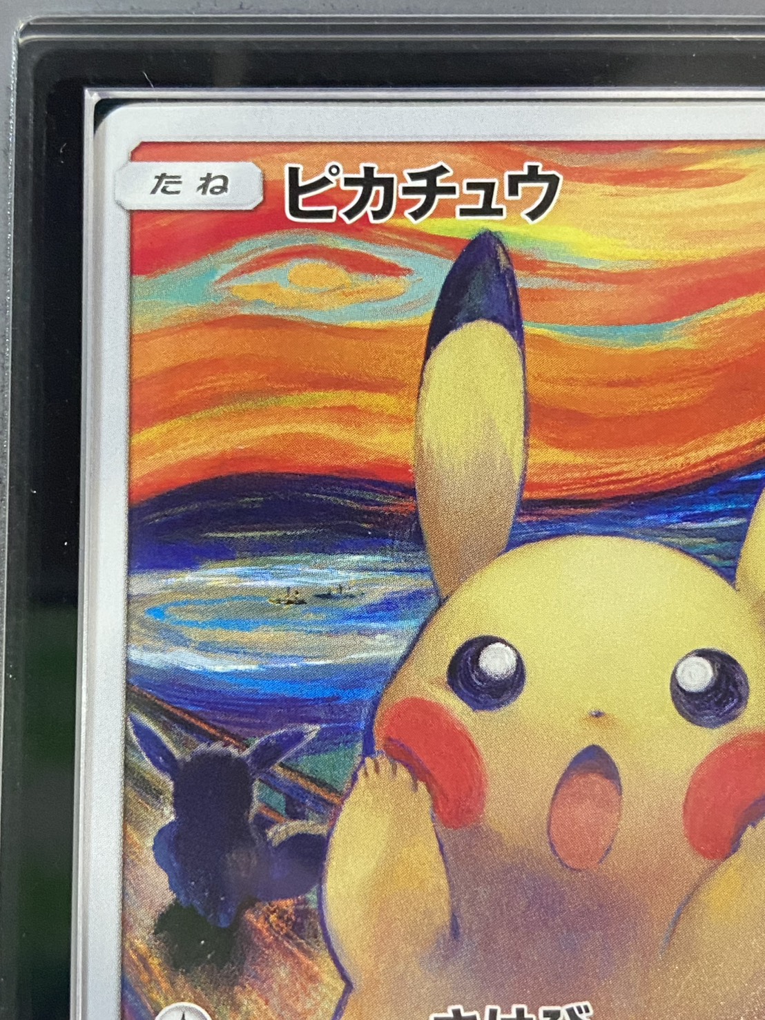 Pikachu (Munch) [P] {288/SM-P} 1枚 (Used) （141663641）| magi -TCG
