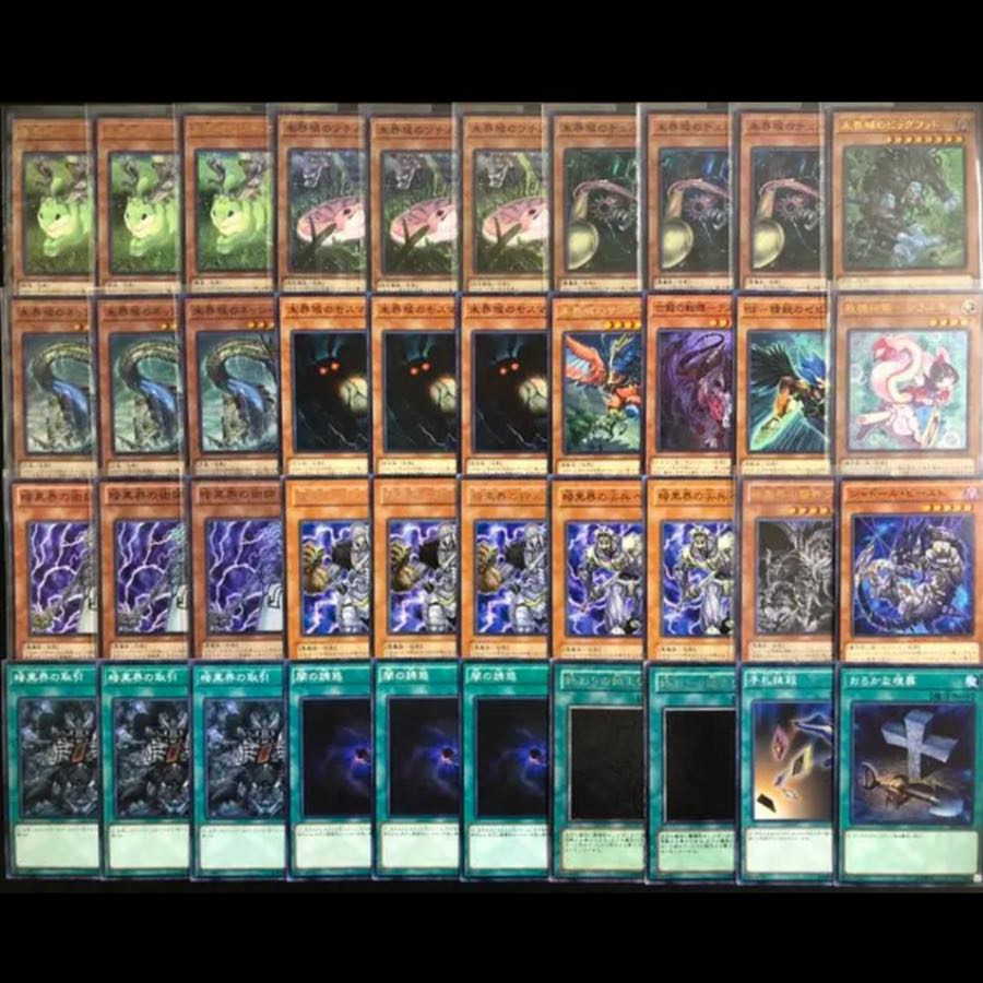 最終値下げ】遊戯王 未界域暗黒界 デッキ EX15枚付き 15枚の通販