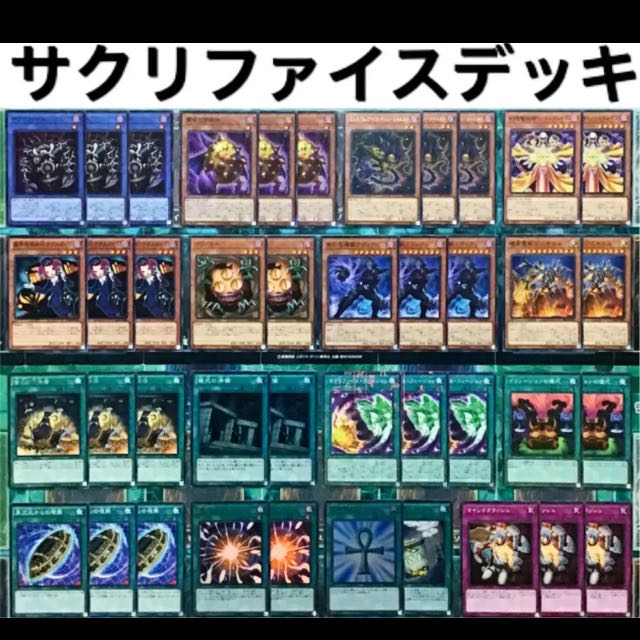 遊戯王 サクリファイス デッキ 本格構築 黄金の邪教神 儀式の下準備 1