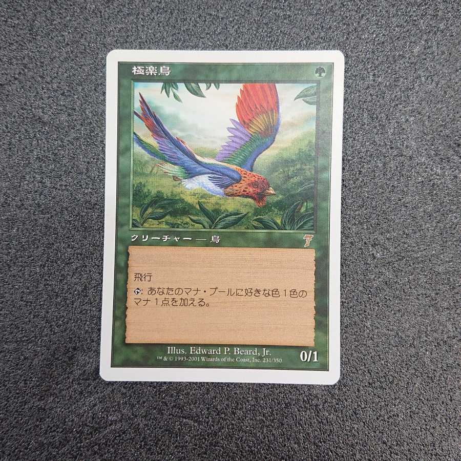 極楽鳥 七版 日本語 foil 極楽鳥 第七版日本語foil 極楽鳥 七版