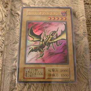 カースオブドラゴン 初期」の激安通販 | magi