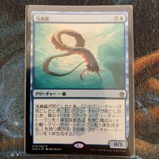 MTG 浅瀬蟲 日本語 Foil 1枚の通販 てにをは＠出品発送停止中