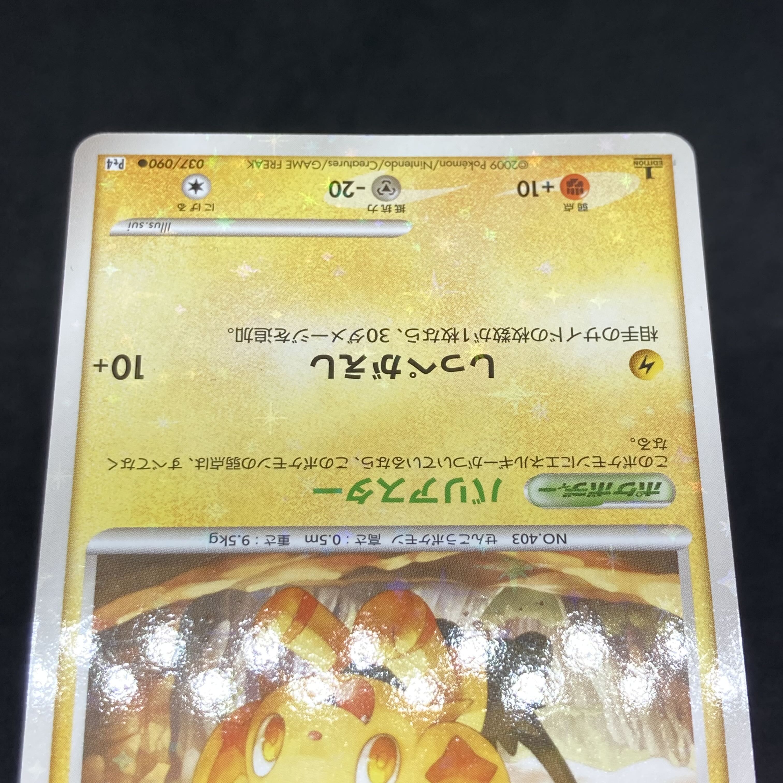 ポケモンカード dp コリンク 色違い 1st edition 1枚の通販 希少商品