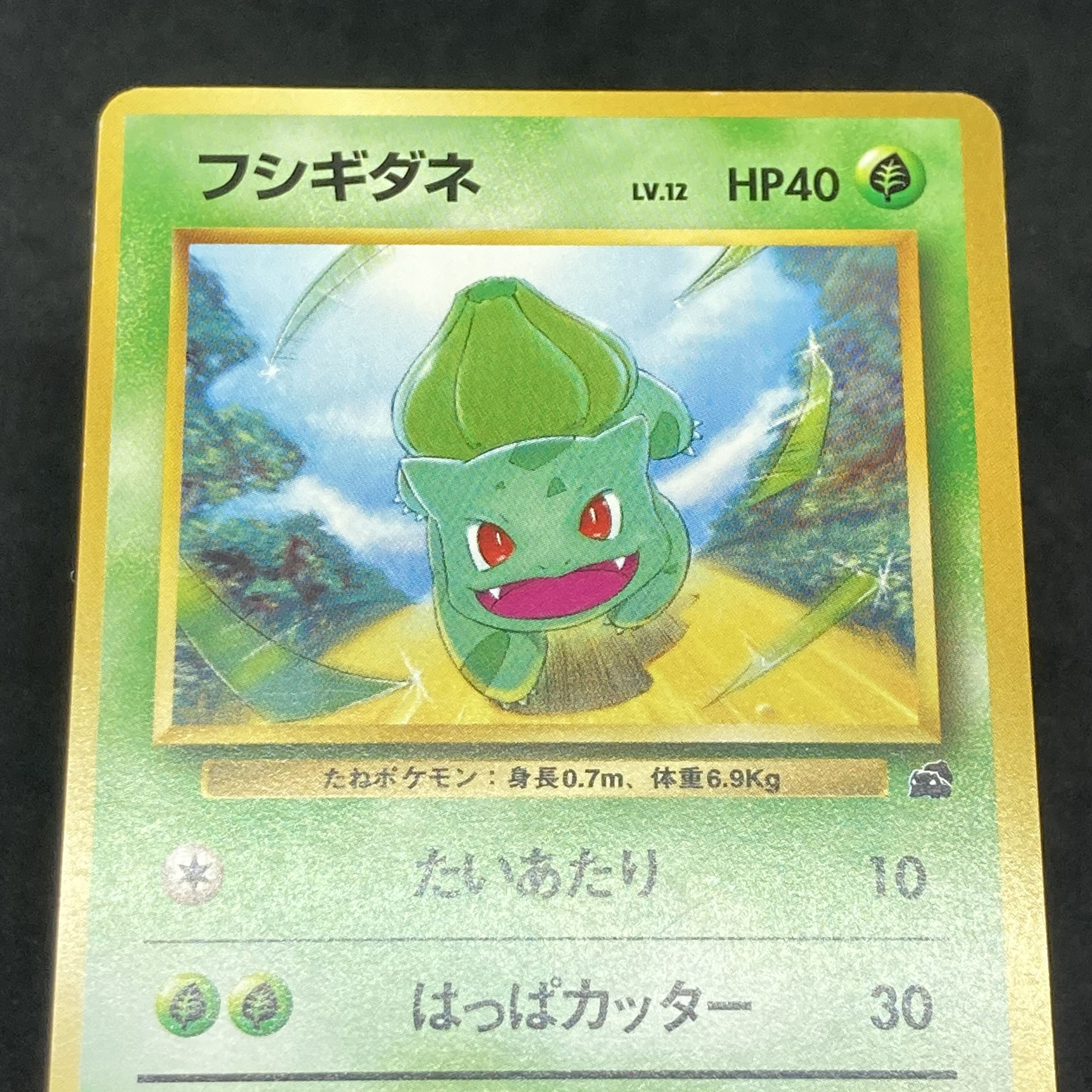 ポケモンカード 旧裏面 フシギダネ イントロパック 1枚の通販 希少商品