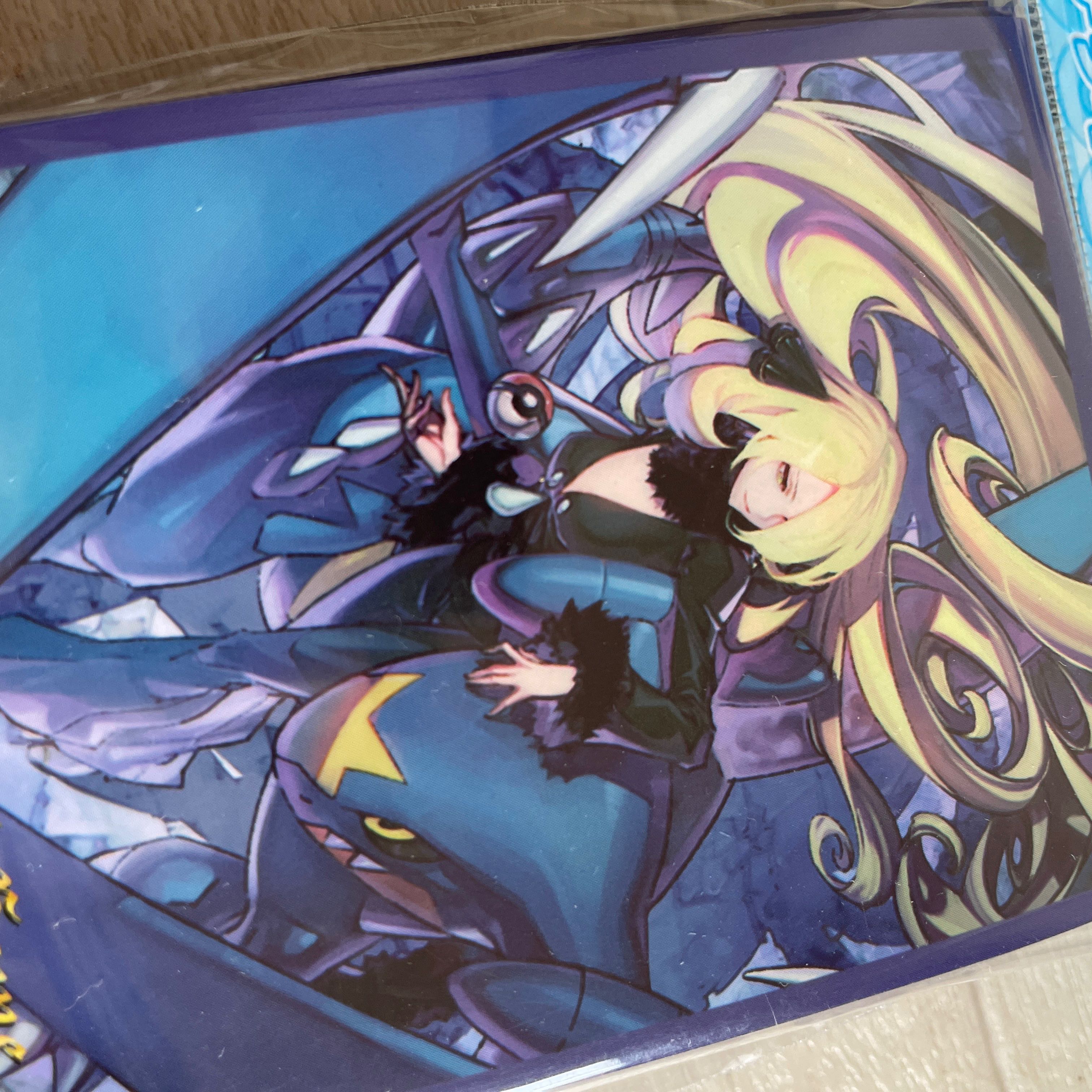 ポケモンカードゲーム デッキシールド シロナ&ガブリアスの通販 なえま