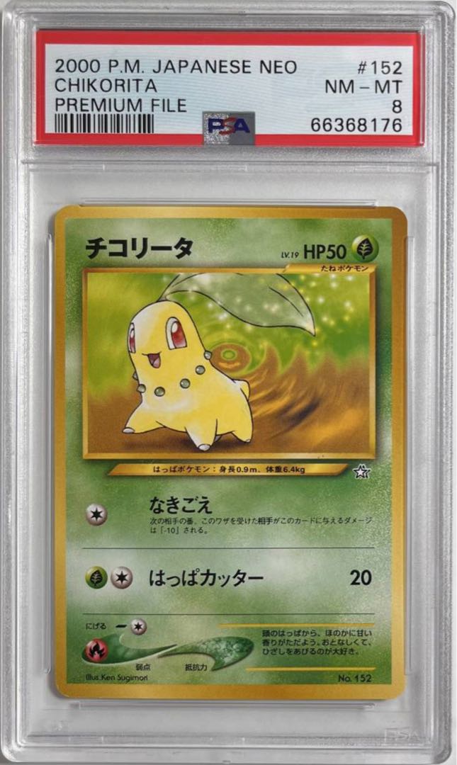 ポケモンカード チコリータ Chikorita PSA 8 Neo ネオ Premium File