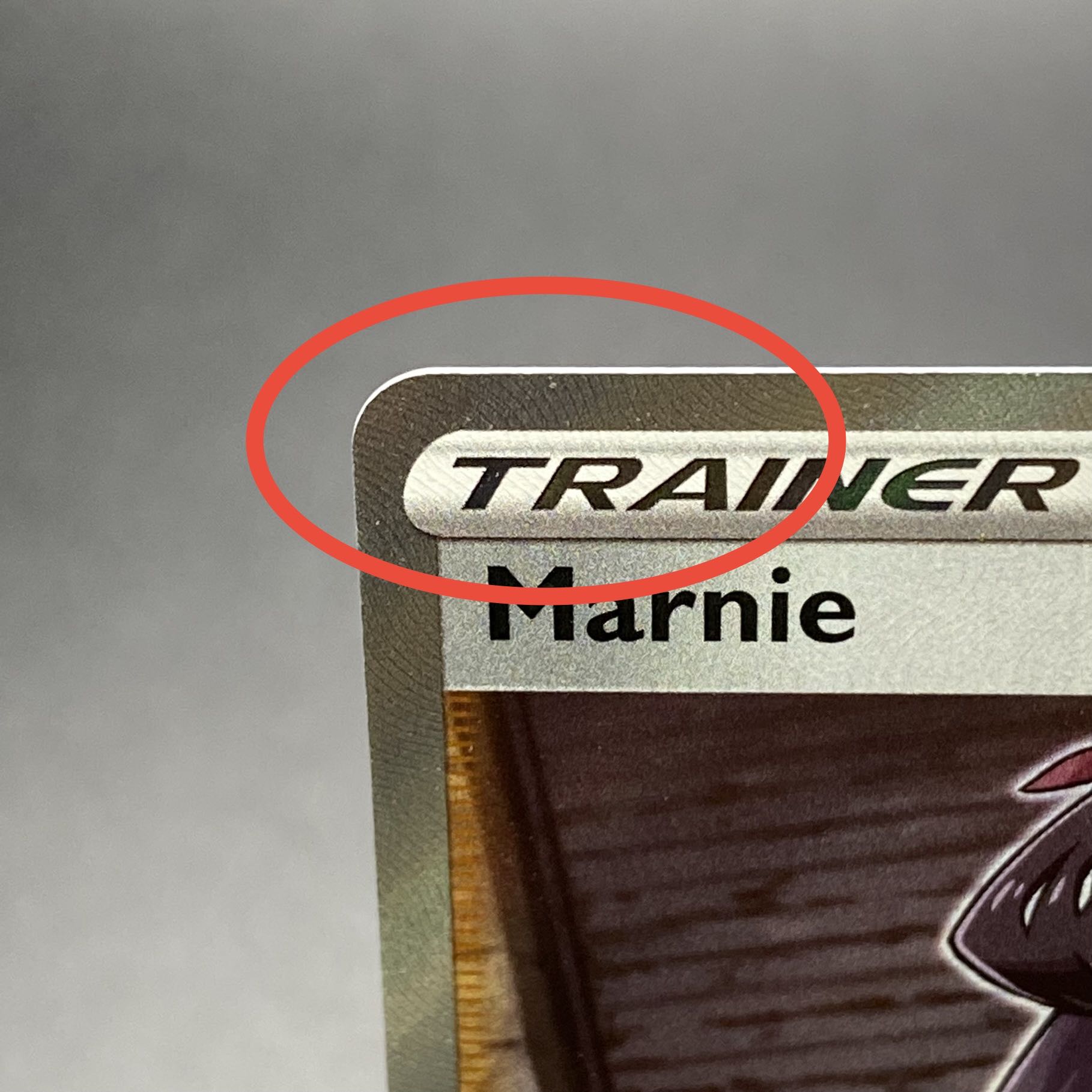 マリィ SR シールドマリィ 英語版 Marnie 200/202 1枚の通販 土日祝休