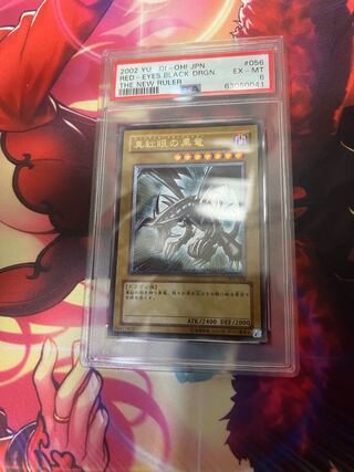 真紅眼の黒竜 親知らず」の激安通販 | magi