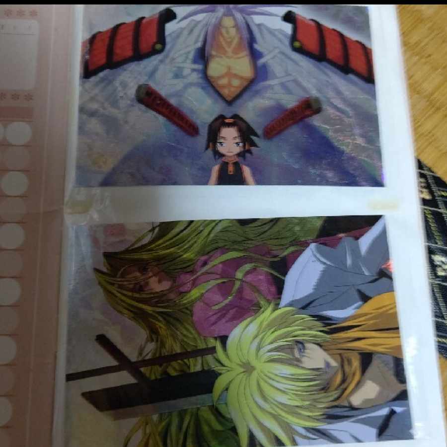 シャーマンキング 麻倉葉 恐山アンナ 道潤 まん太 阿弥陀丸 ホロホロ 1