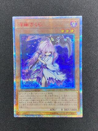 浮幽さくら 20th」の激安通販 | magi