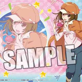 千石撫子」の激安通販 | magi