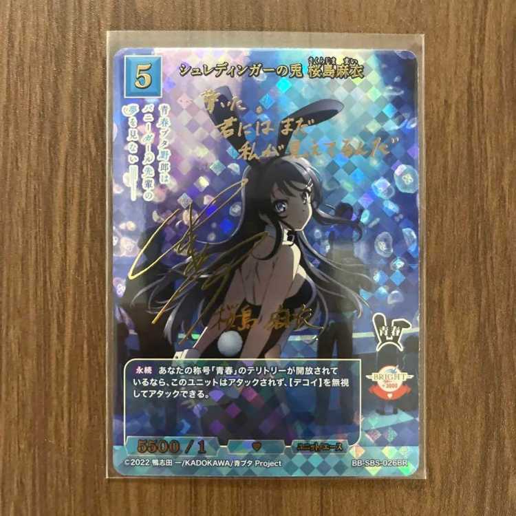 シュレディンガーの兎桜島麻衣VT テリトリービルディバイド青ブタ