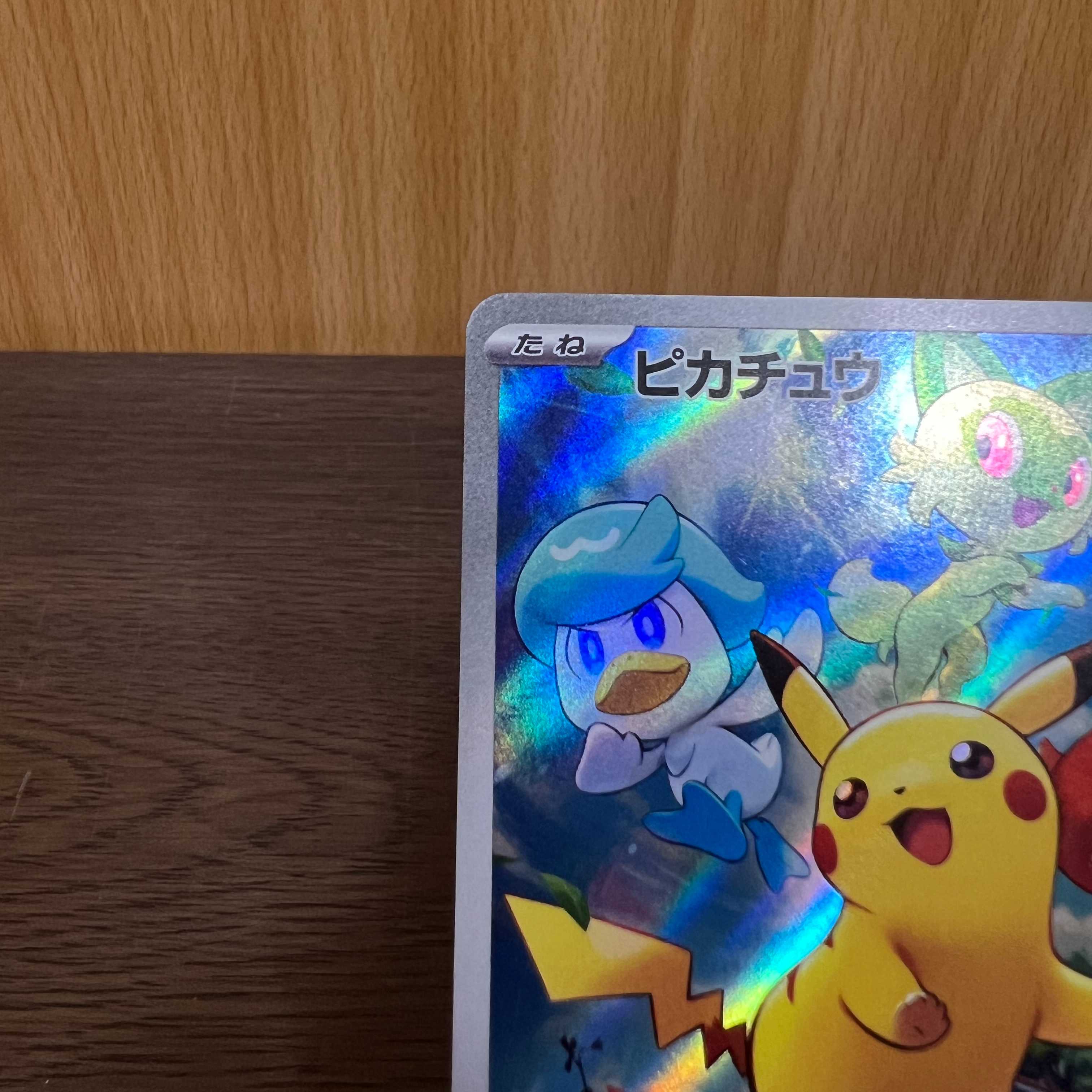 ピカチュウ PROMO プロモ 001/SV-P みんなでぼうけん ポケモンカード