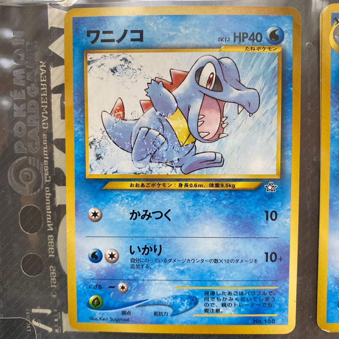 ポケモンカード☆neo プレミアムファイル＋プレミアムファイル3 1枚の