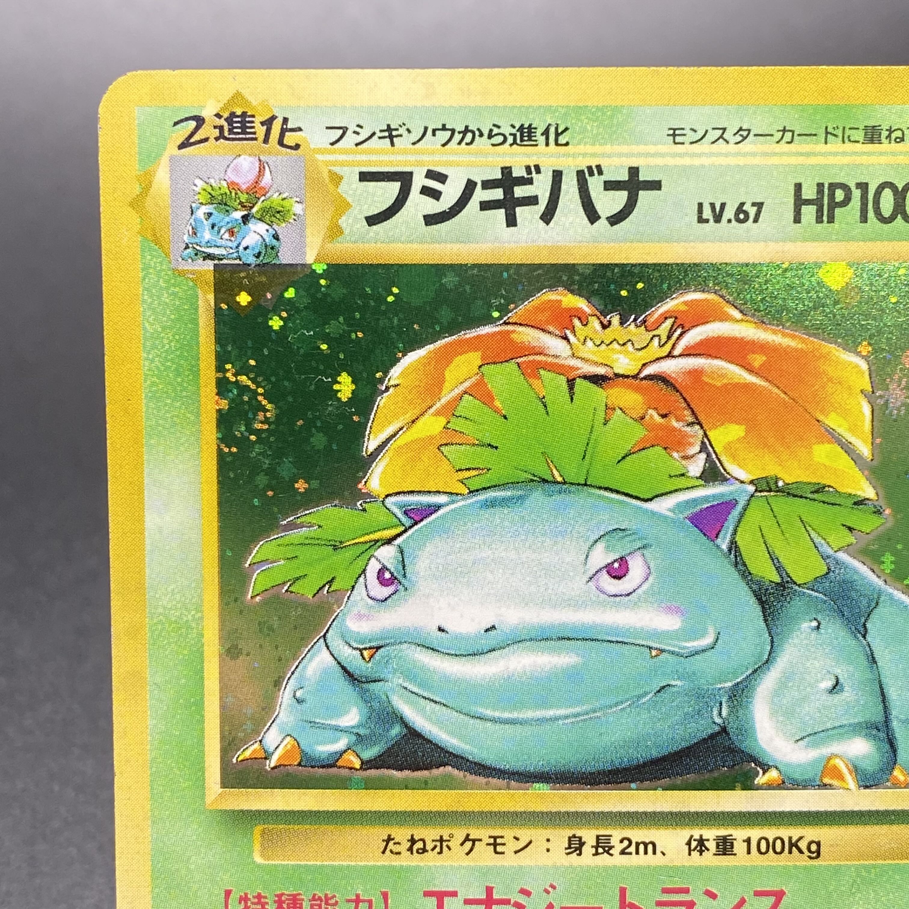 初版【マークなし】フシギバナ進化セット 初版【マークなし