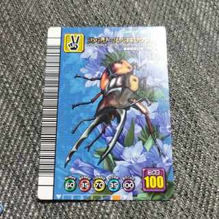 アダーコレクション」の激安通販 | magi