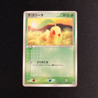 チコリータ」の激安通販 | magi