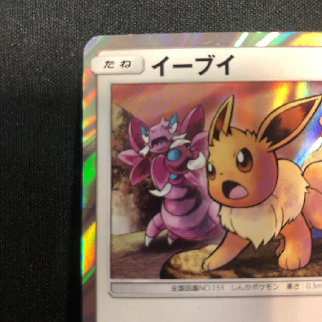 イーブイ フレンドリィショップ 371/SM-P 1枚の通販 らいだがい＠平日