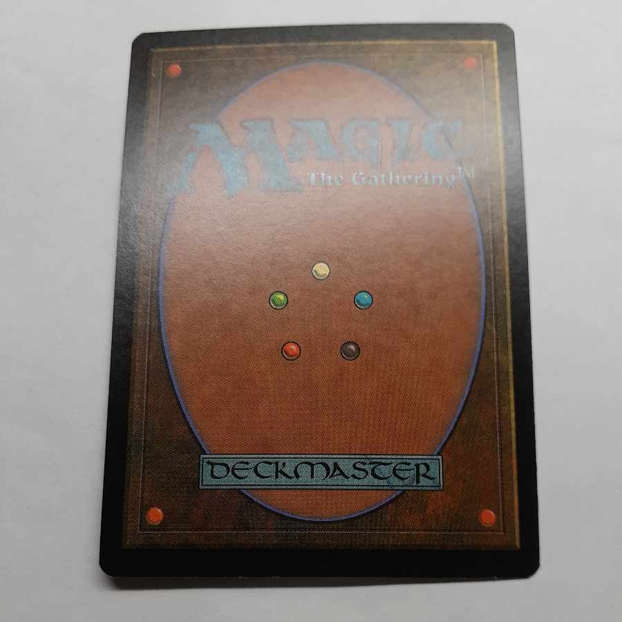 MTG APAC Land 5-card set Sunflower Plains Hong Kong Island etc. 5