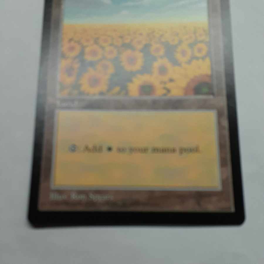 MTG APAC Land 5-card set Sunflower Plains Hong Kong Island etc. 5