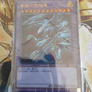 青眼の白龍 海馬セット」の激安通販 | magi