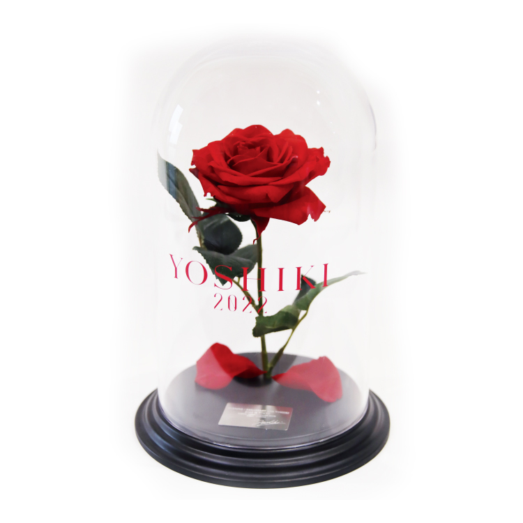 STORE | YOSHIKI OFFICIAL STORE