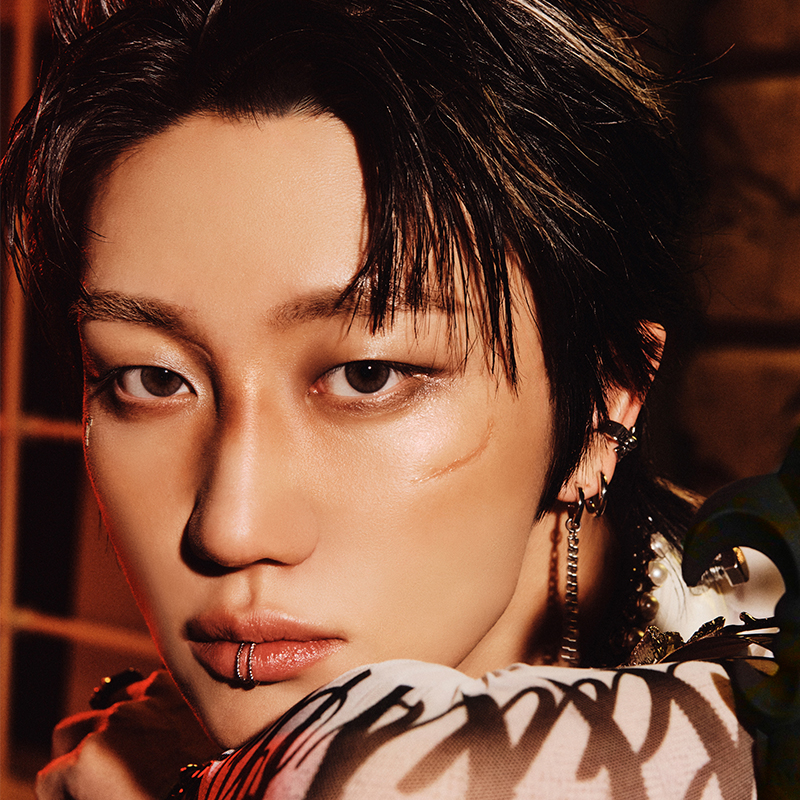 PROFILE | SEVENTEEN Japan official site