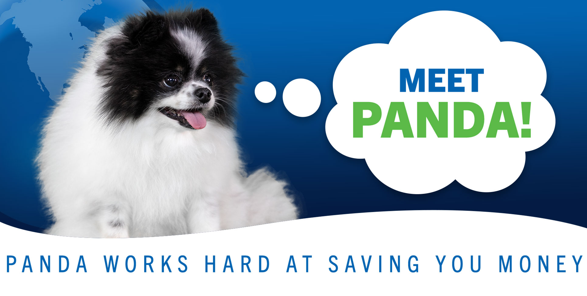 Meet Panda | Spitzer Autoworld