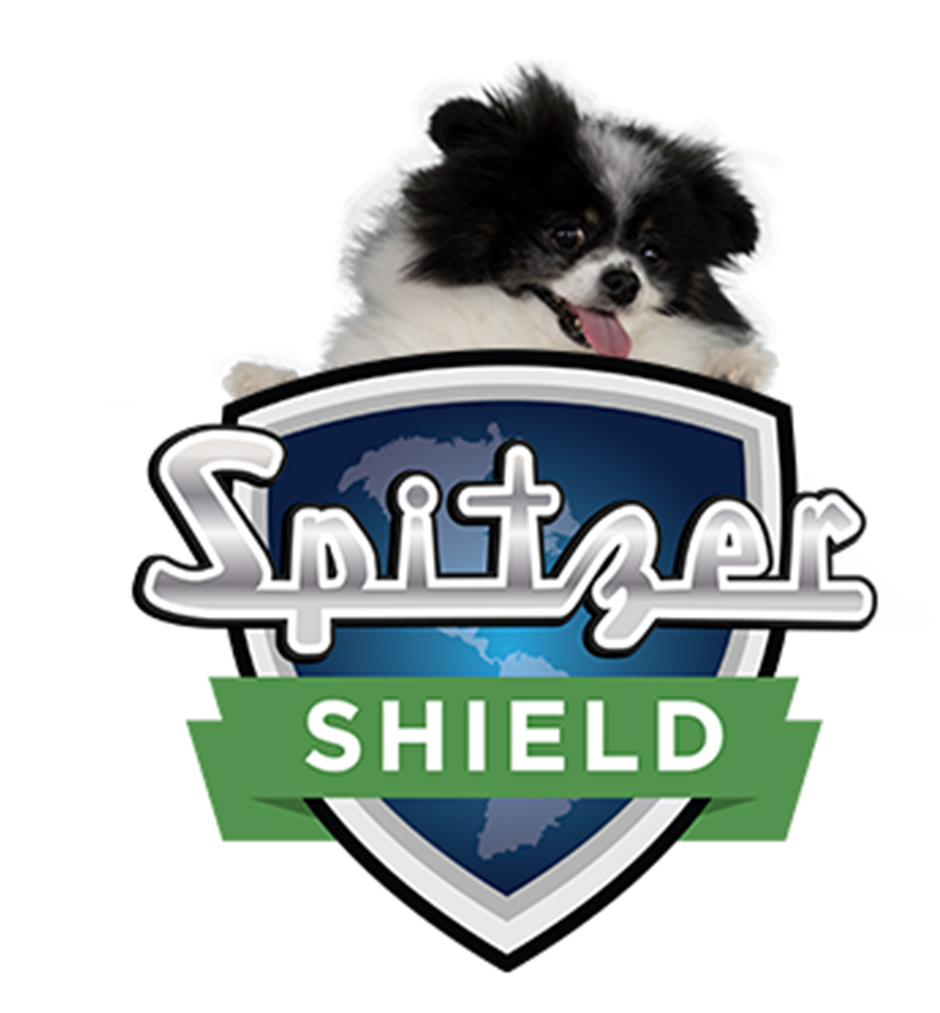 Panda the Dog | Spitzer Kia Cleveland