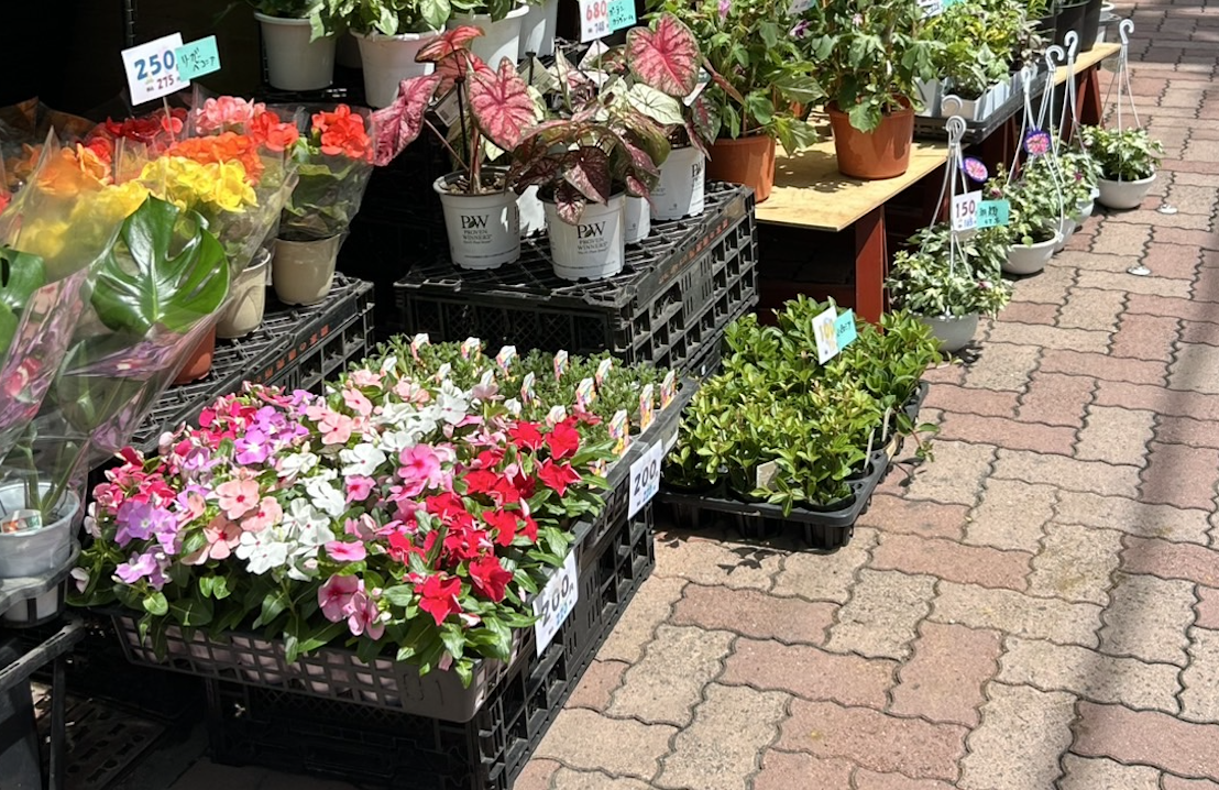 東京都墨田区で切り花や鉢植えの卸売業を営む「フラワーショップ