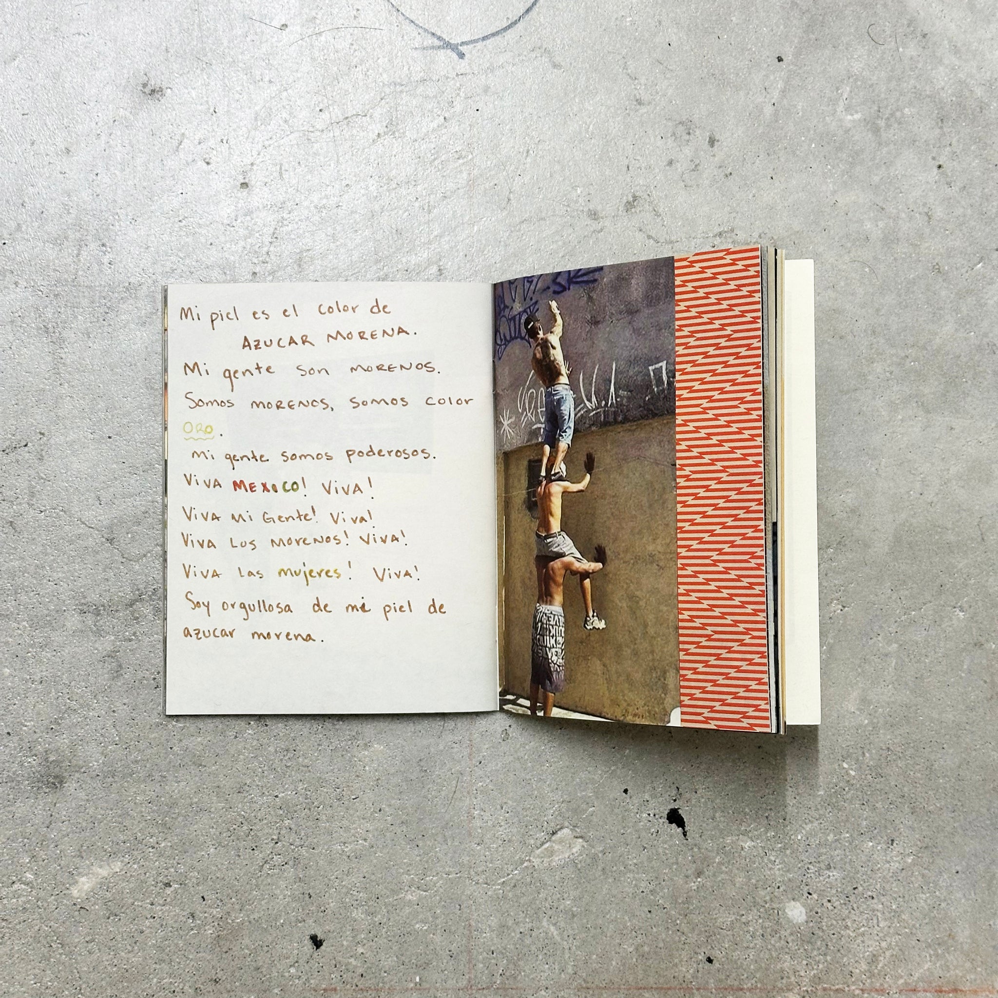 MCASB Limited Edition Field Guide by Barry McGee – Scooters For Peace